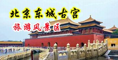 操黑丝浪逼中国北京-东城古宫旅游风景区